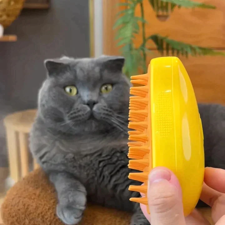 3-In-1 Pet Steamer Brush