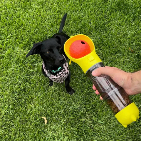 3-In-1 Dog Bottle