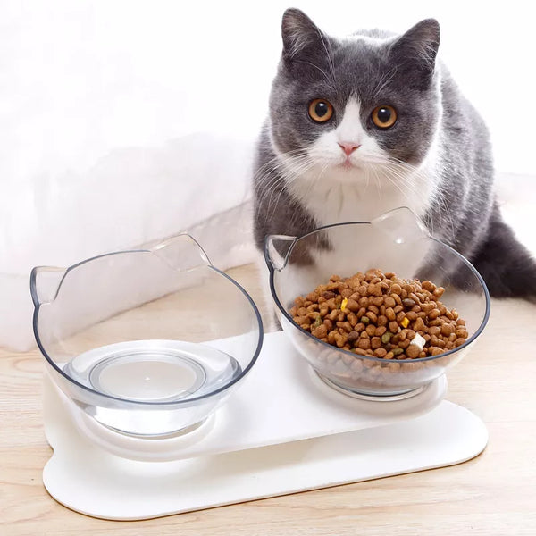 Orthopedic Anti-vomiting Cat Feeder