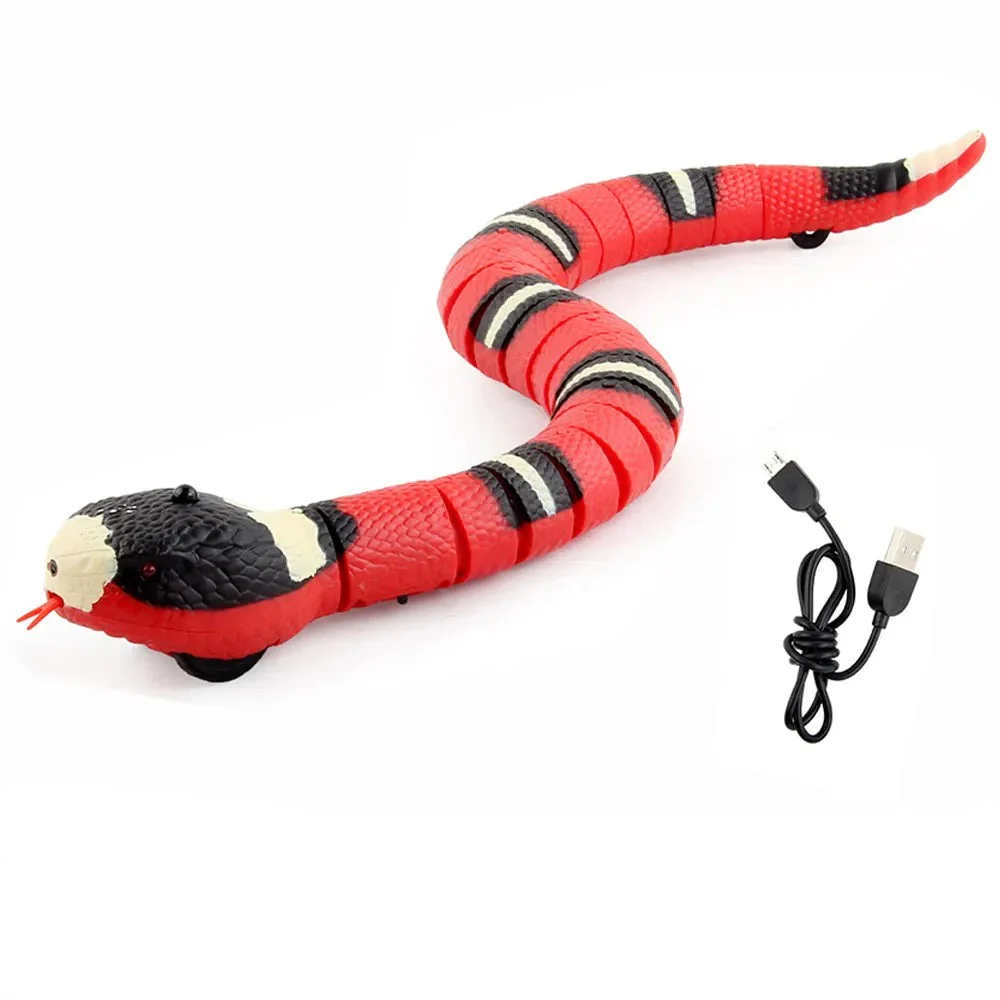 Magic Snake Smart Toy